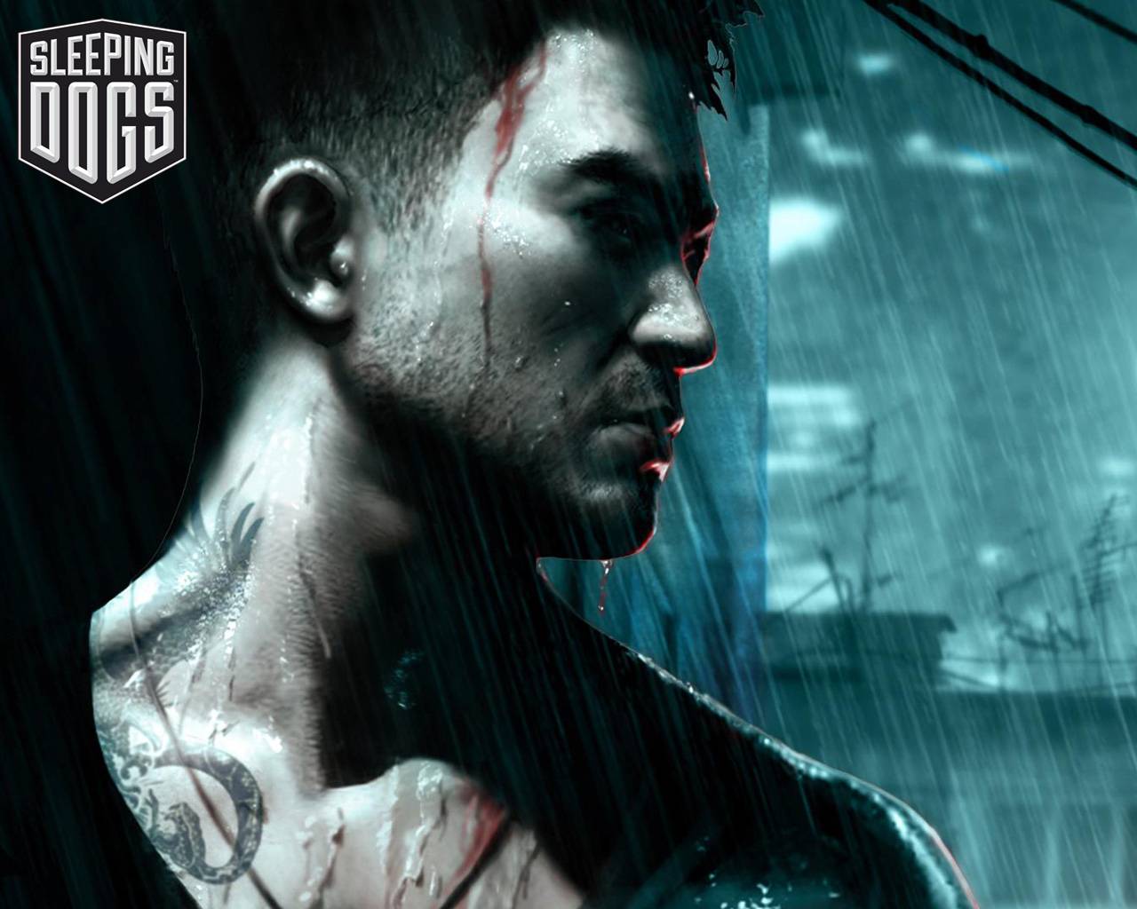 Sleeping Dogs Game