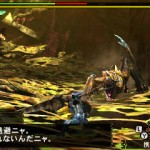 Monster Hunter 4, شرکت کپکام (Capcom)