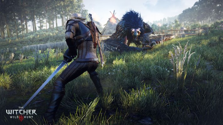 The Witcher 3: Wild Hunt, پی سی گیمینگ (PC Gaming)