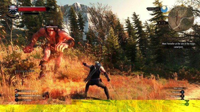 The Witcher 3: Wild Hunt, پی سی گیمینگ (PC Gaming), شرکت سی دی پراجکت رد (CD Projekt Red)