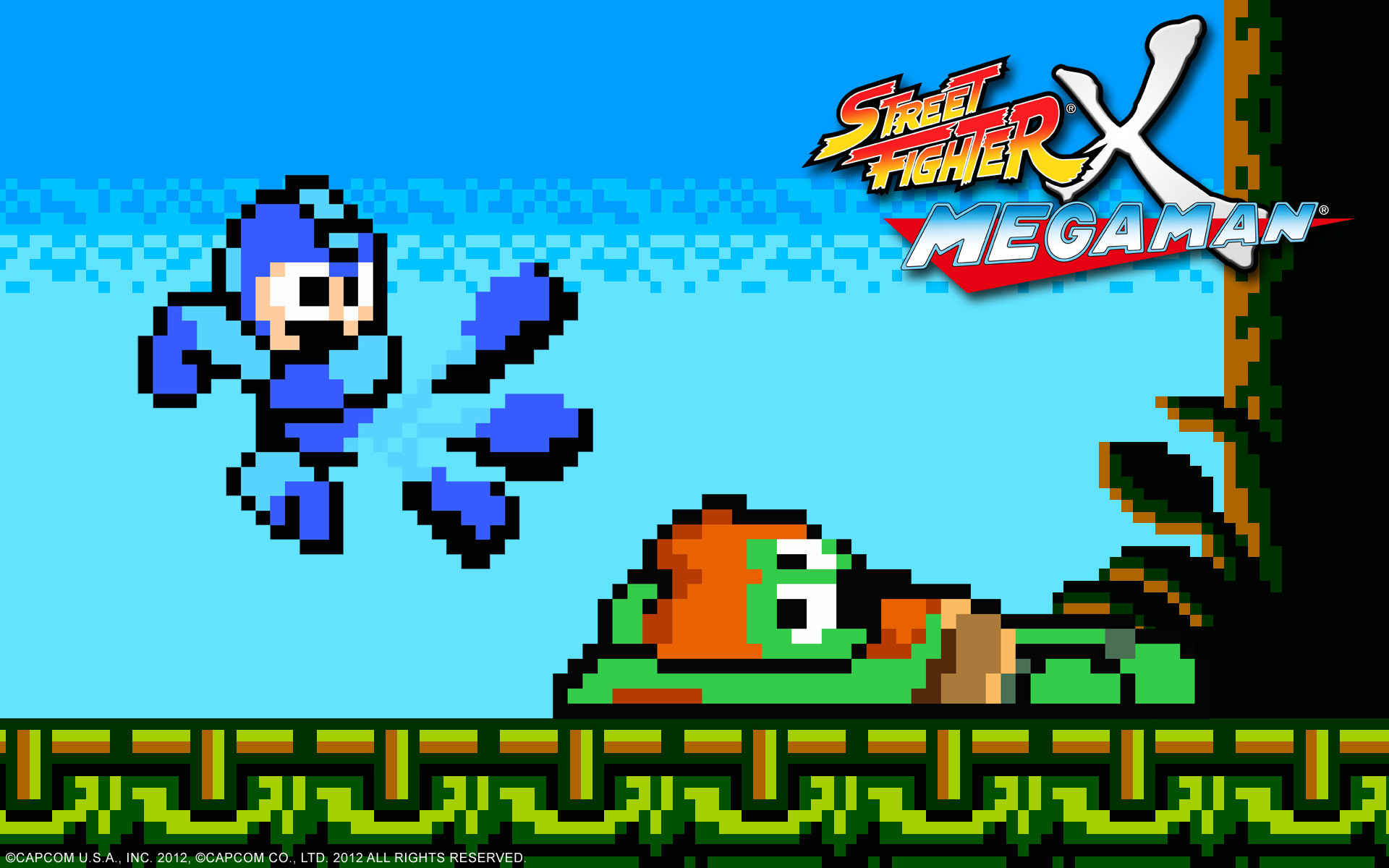 Megaman, Street Fighter, شرکت کپکام (Capcom)