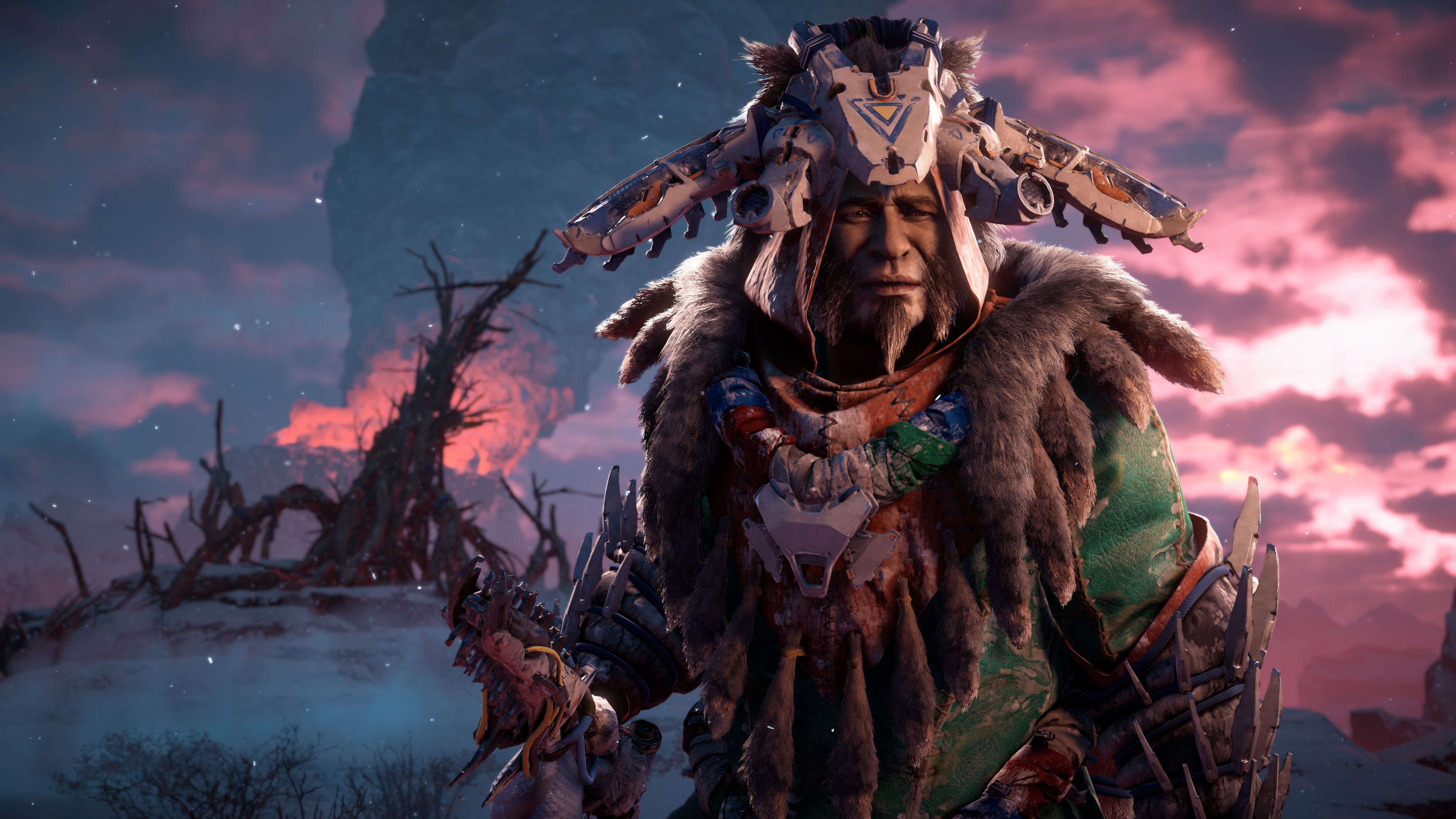 Horizon Zero Dawn, PlayStation Pro