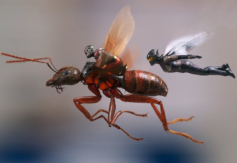 Ant-Man and the Wasp