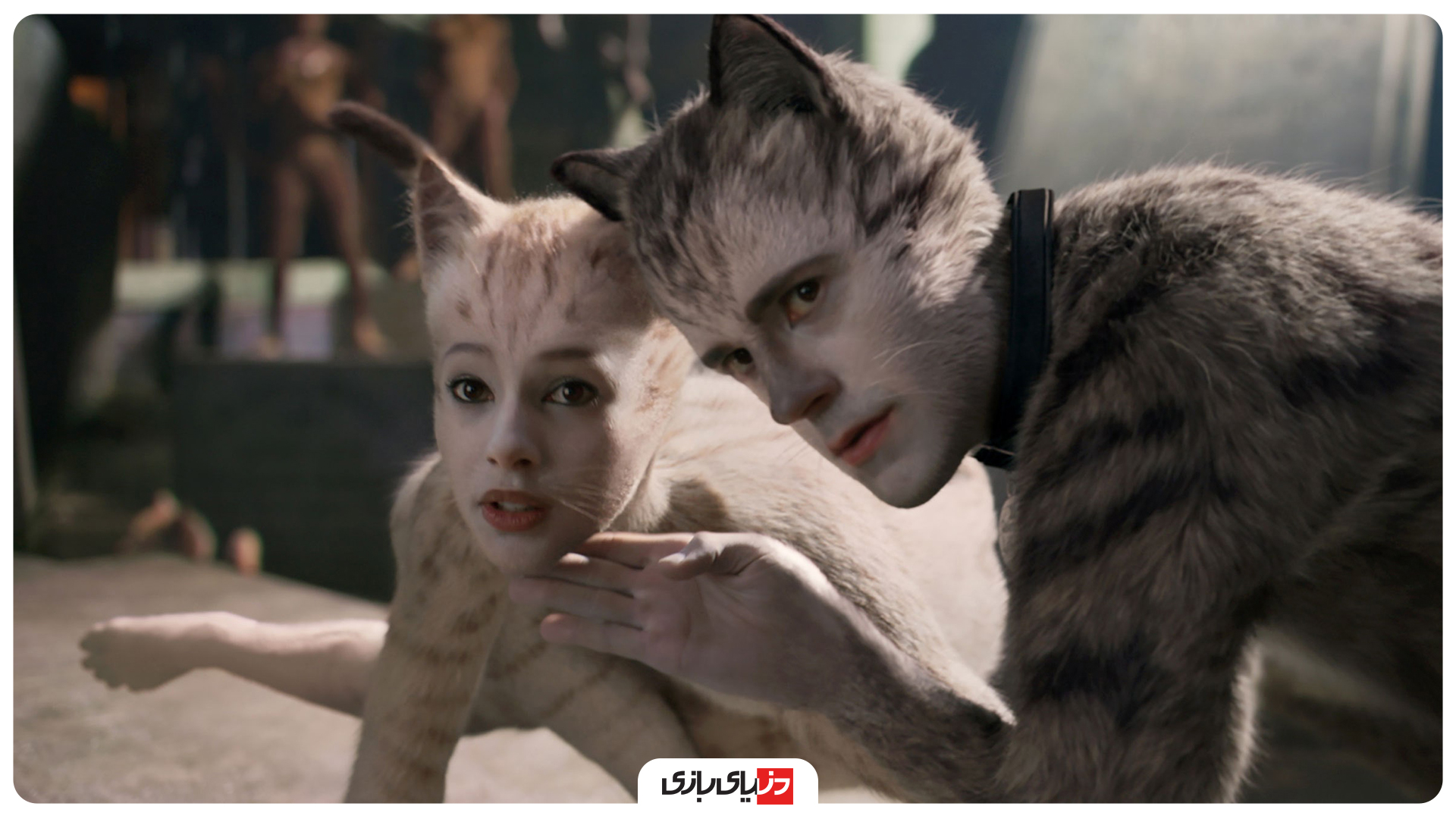 بررسی فیلم Cats