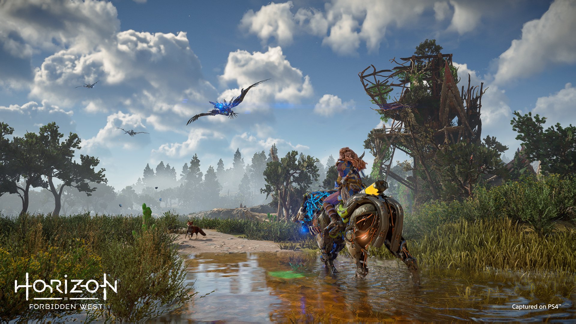 Guerrilla Games, Horizon Forbidden West