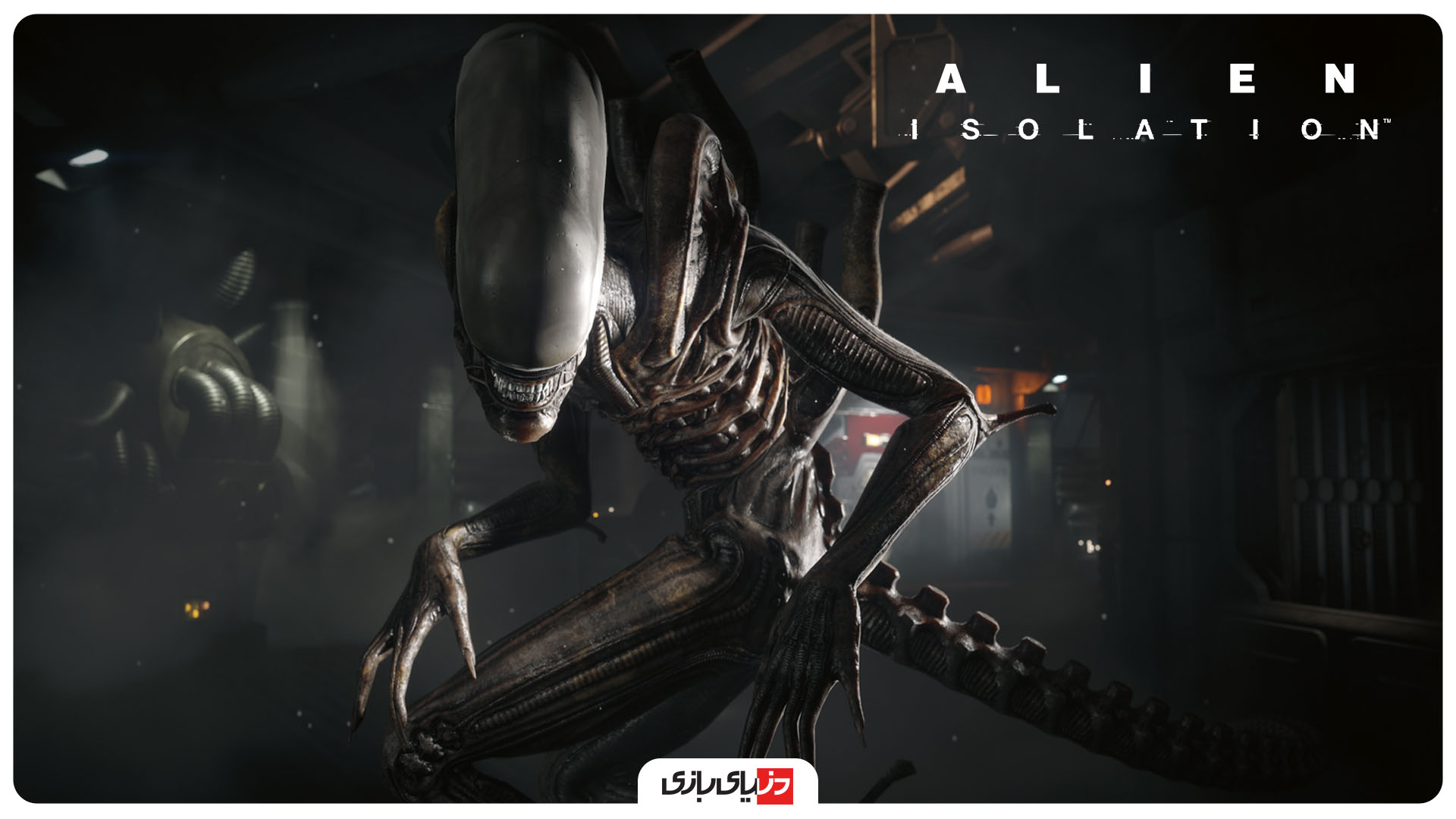 alien isolation