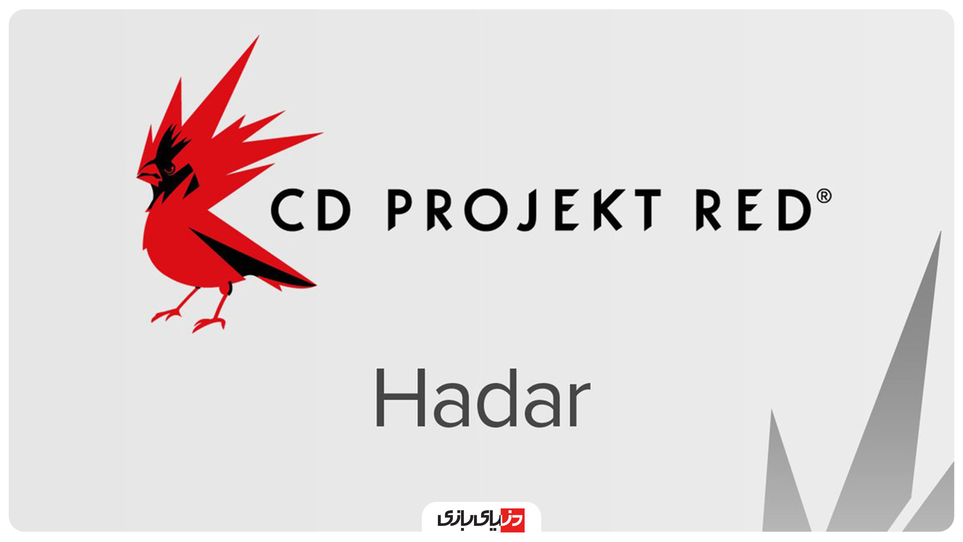 بازی سایبرپانک ۲۰۷۷ (Cyberpunk 2077), بازی ویچر (The Witcher), شرکت سی دی پراجکت رد (CD Projekt Red)