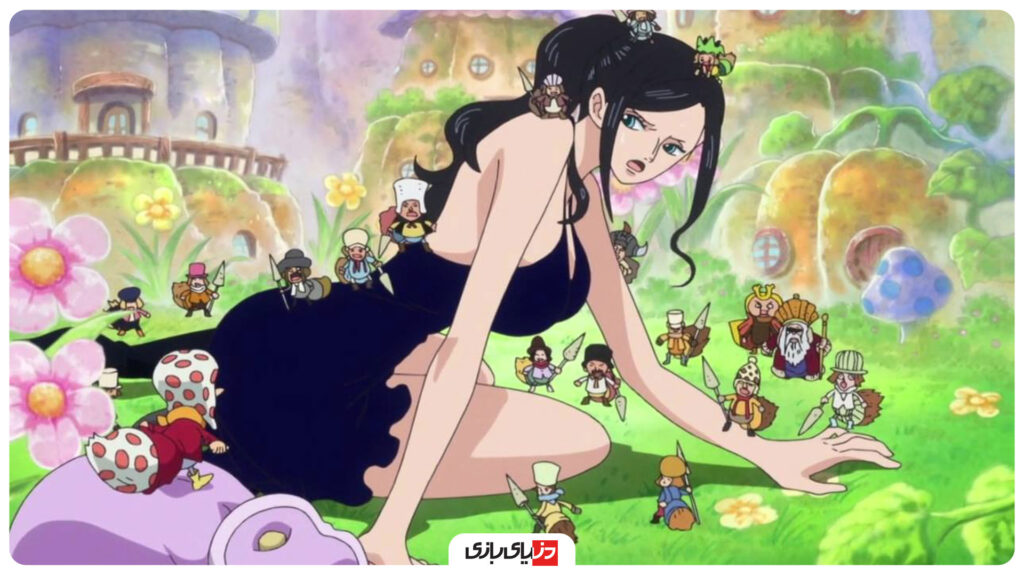 انیمه One Piece, دزدان دریایی One Piece, راهنمای One Piece